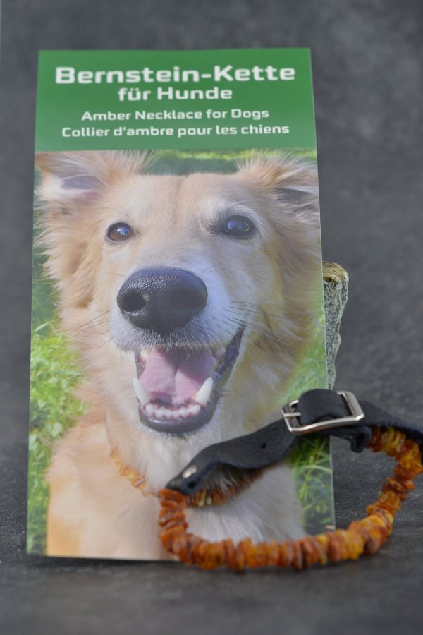 Bernstein Floh- und Zecken Halsband für Hunde Katzen Leder Verschluss Länge wählbar