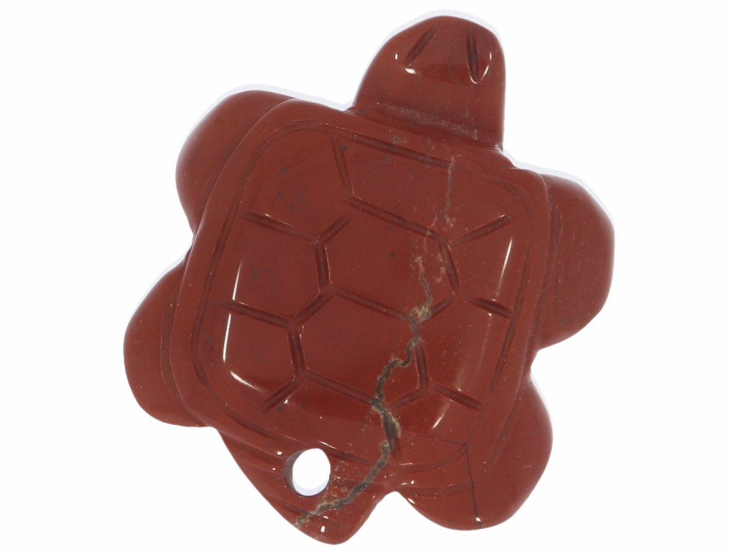 Roter Jaspis Schildkröte Anhänger front gebohrt 40x30mm HS606