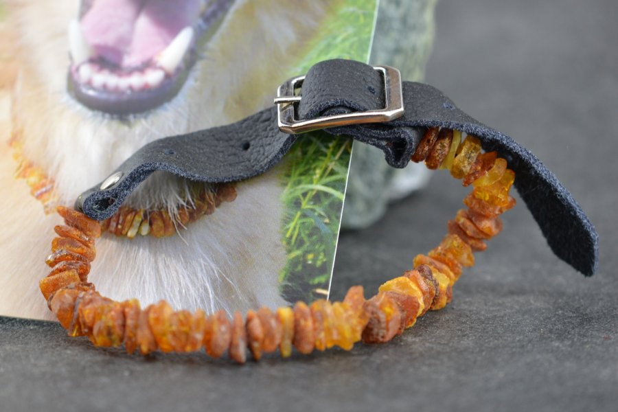 Bernstein Floh- und Zecken Halsband für Hunde Katzen Leder Verschluss Länge wählbar